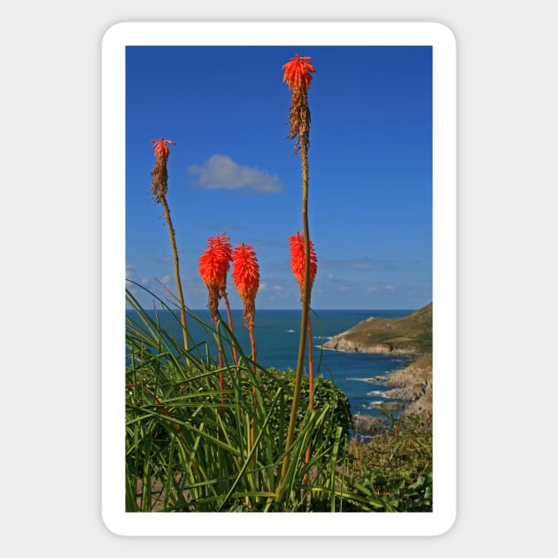 North Devon Coast Sticker by RedHillDigital